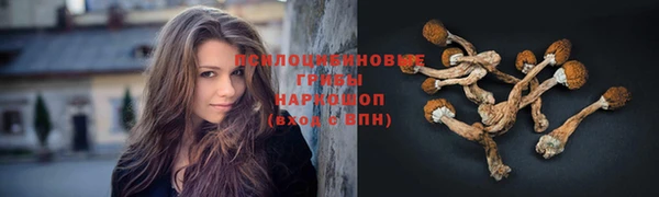 MDMA Белокуриха
